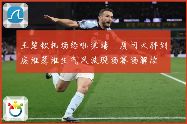 王楚钦机场怒吼梁靖崑质问大胖到底谁惹谁生气风波现场赛场解读