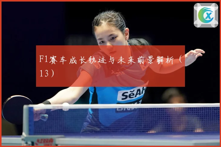 F1赛车成长轨迹与未来前景解析（13）
