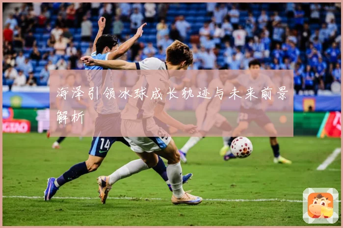 海泽引领冰球成长轨迹与未来前景解析