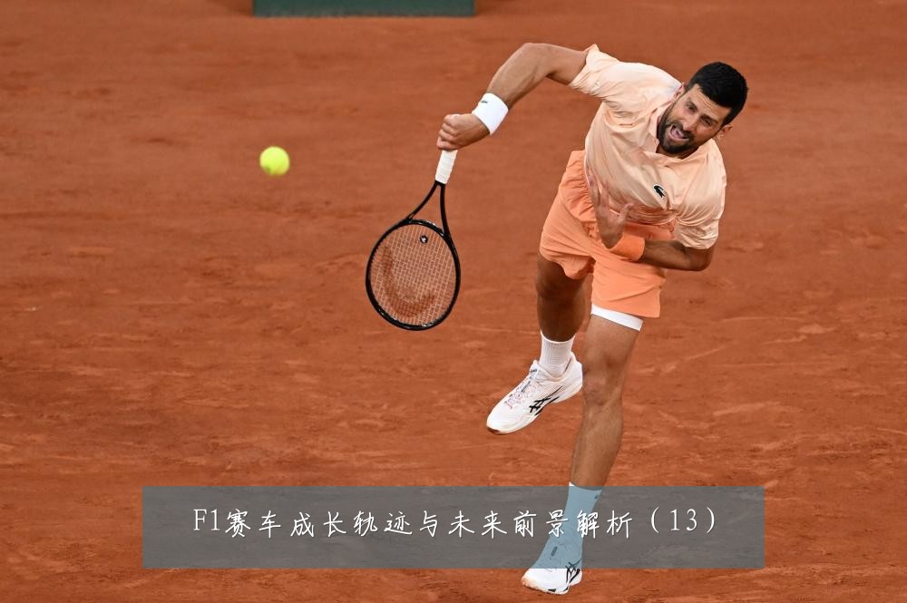 F1赛车成长轨迹与未来前景解析(13)