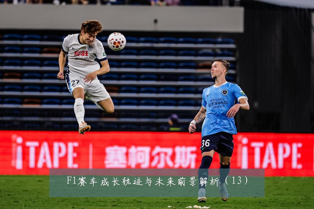 F1赛车成长轨迹与未来前景解析(13)
